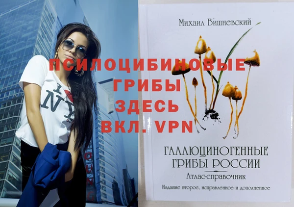apvp Нефтекумск
